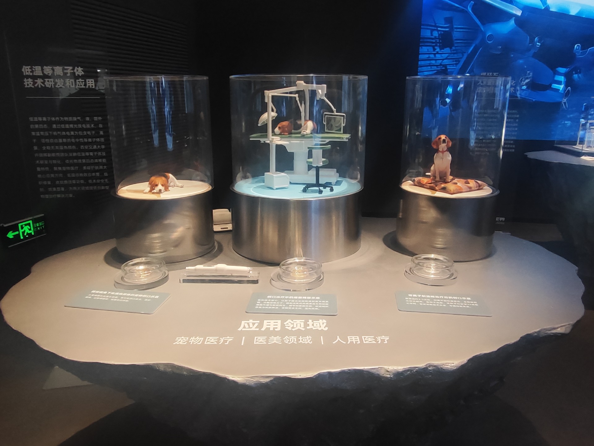 模型图0.jpg